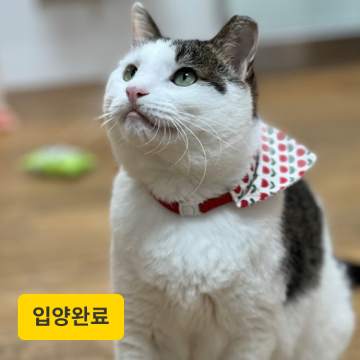 산들