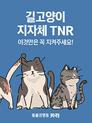 지자체 TNR 이것만은 꼭 지켜주세요