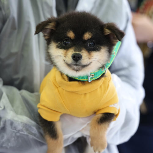 티나