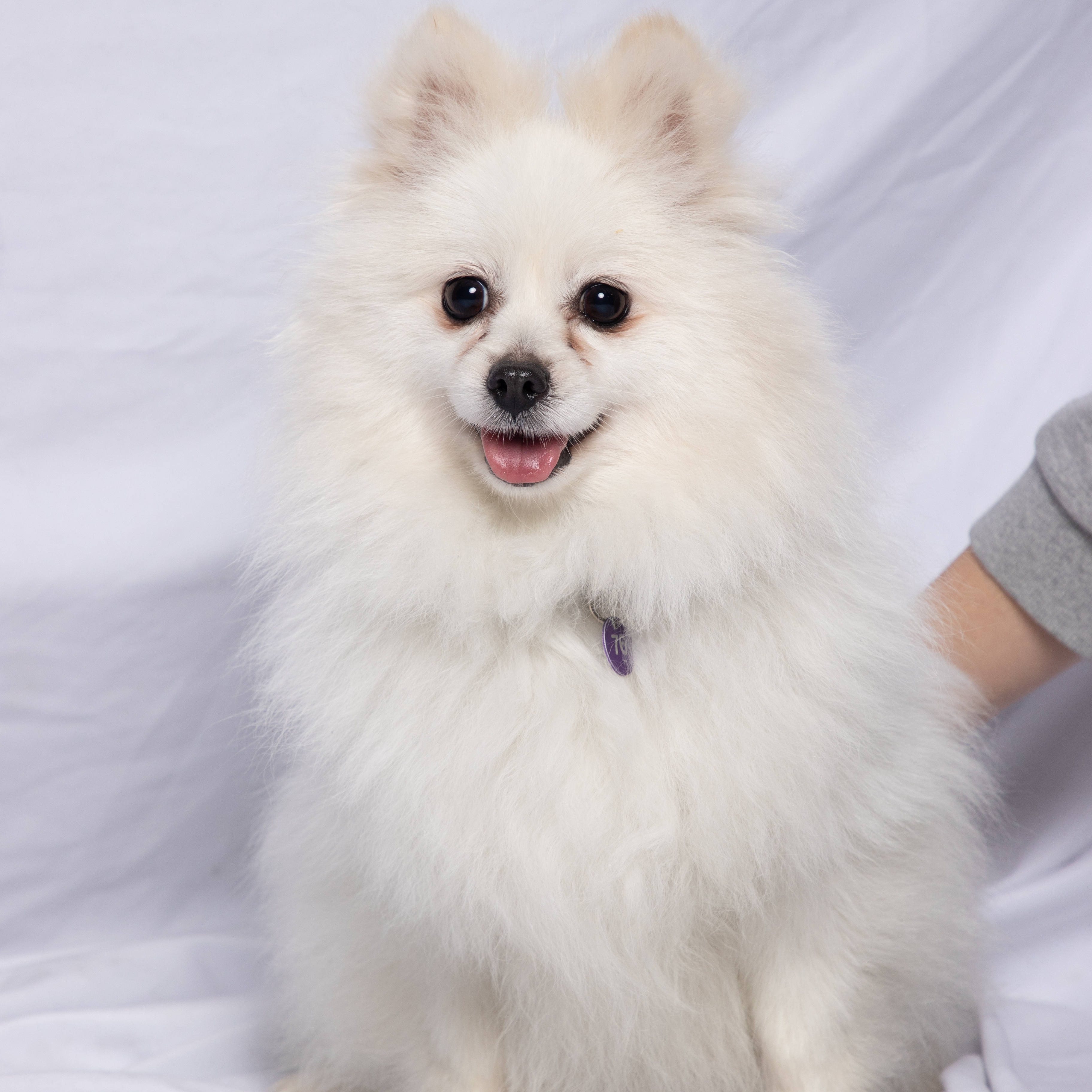 헤이