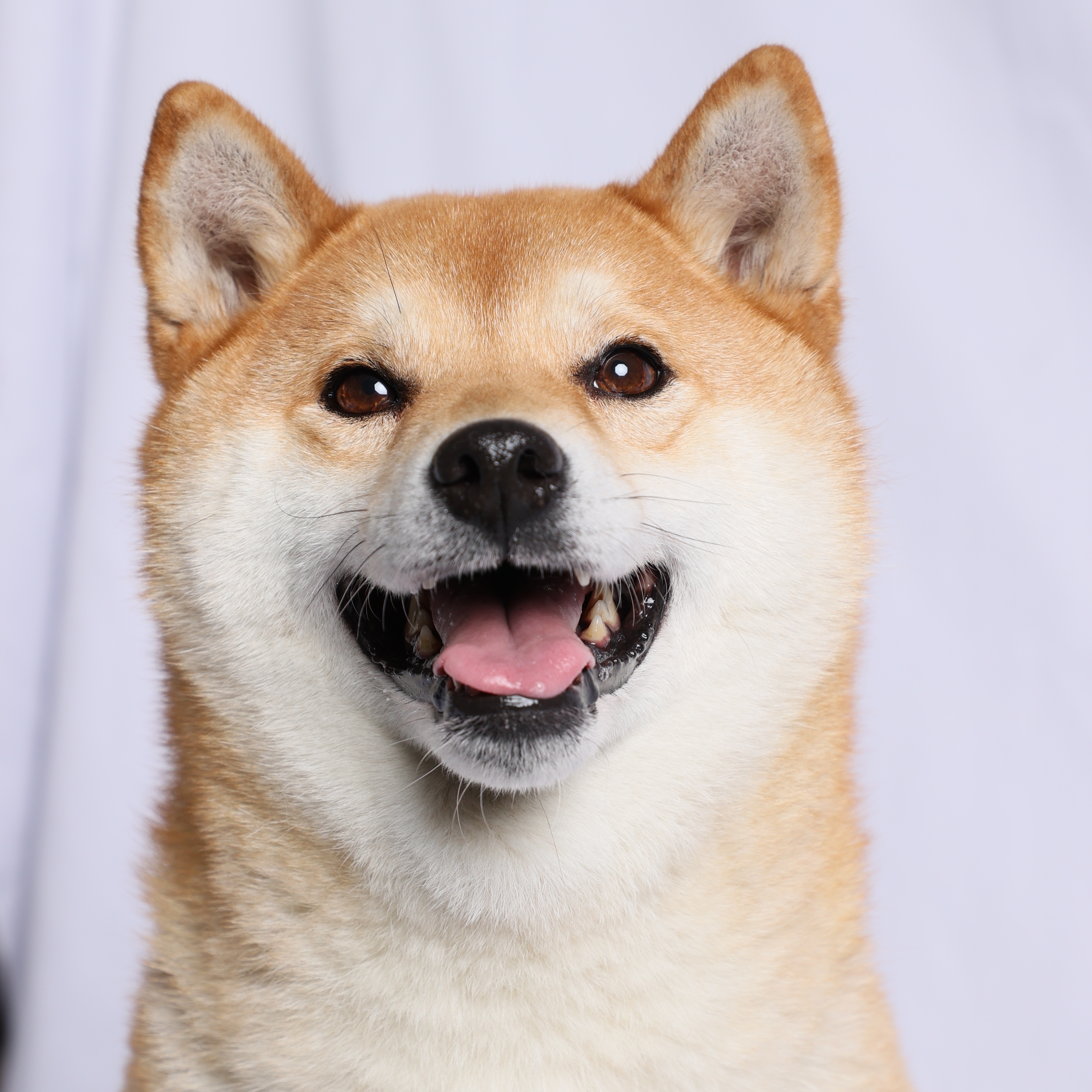 수피아