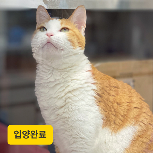 날라 / (구)희망이