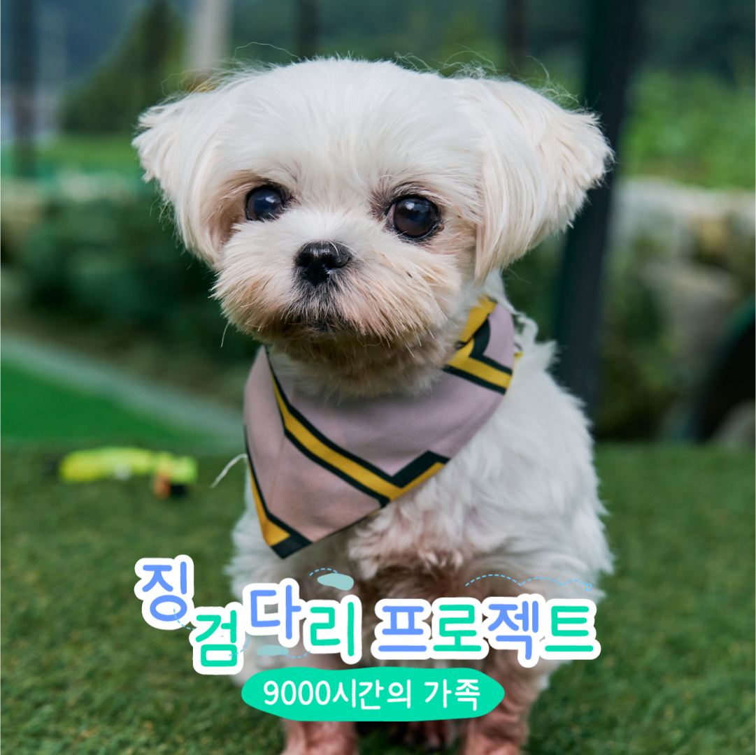 유테