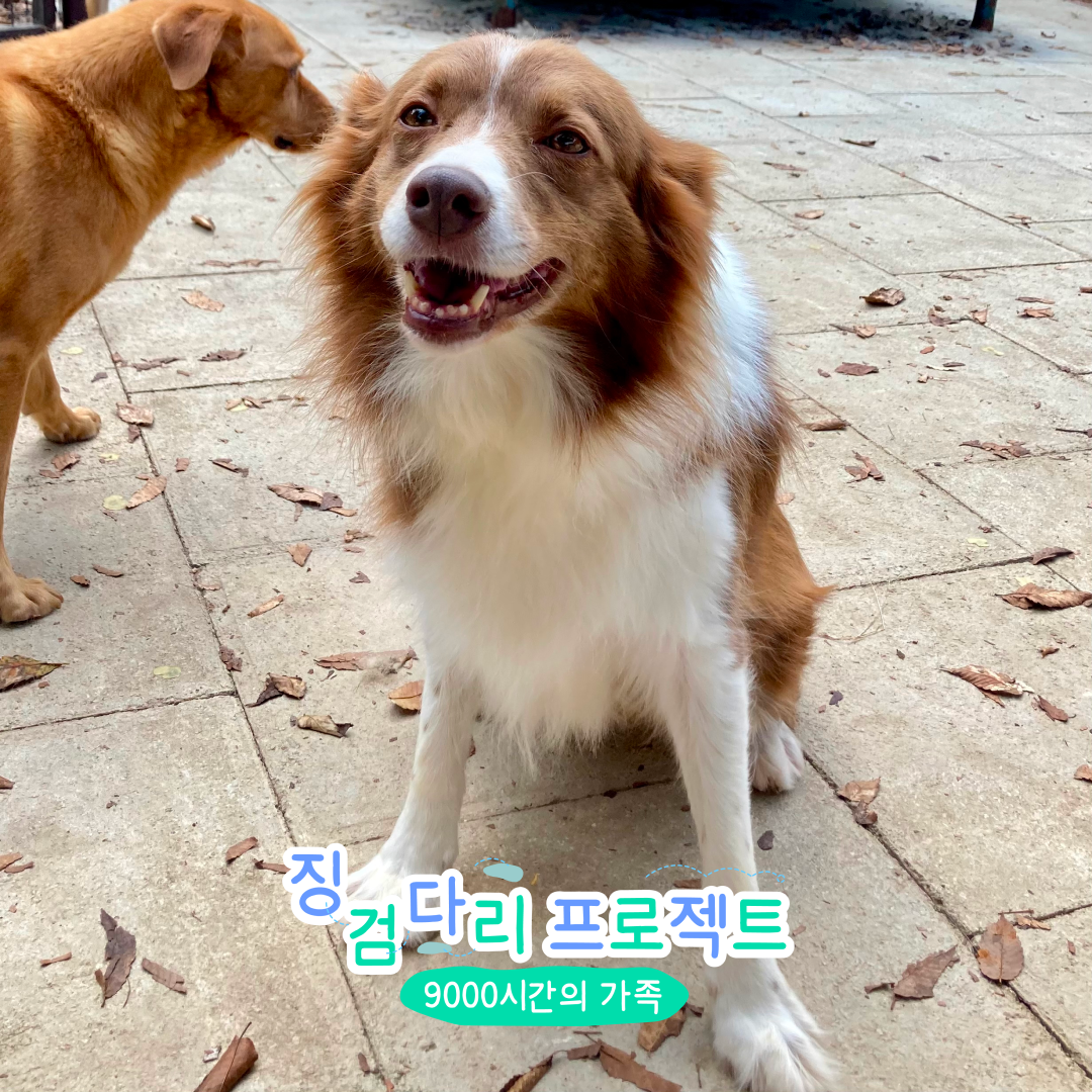 유자