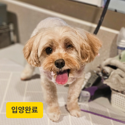 베티