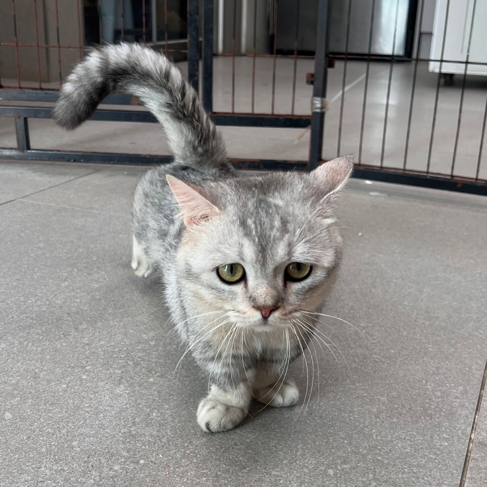  바비