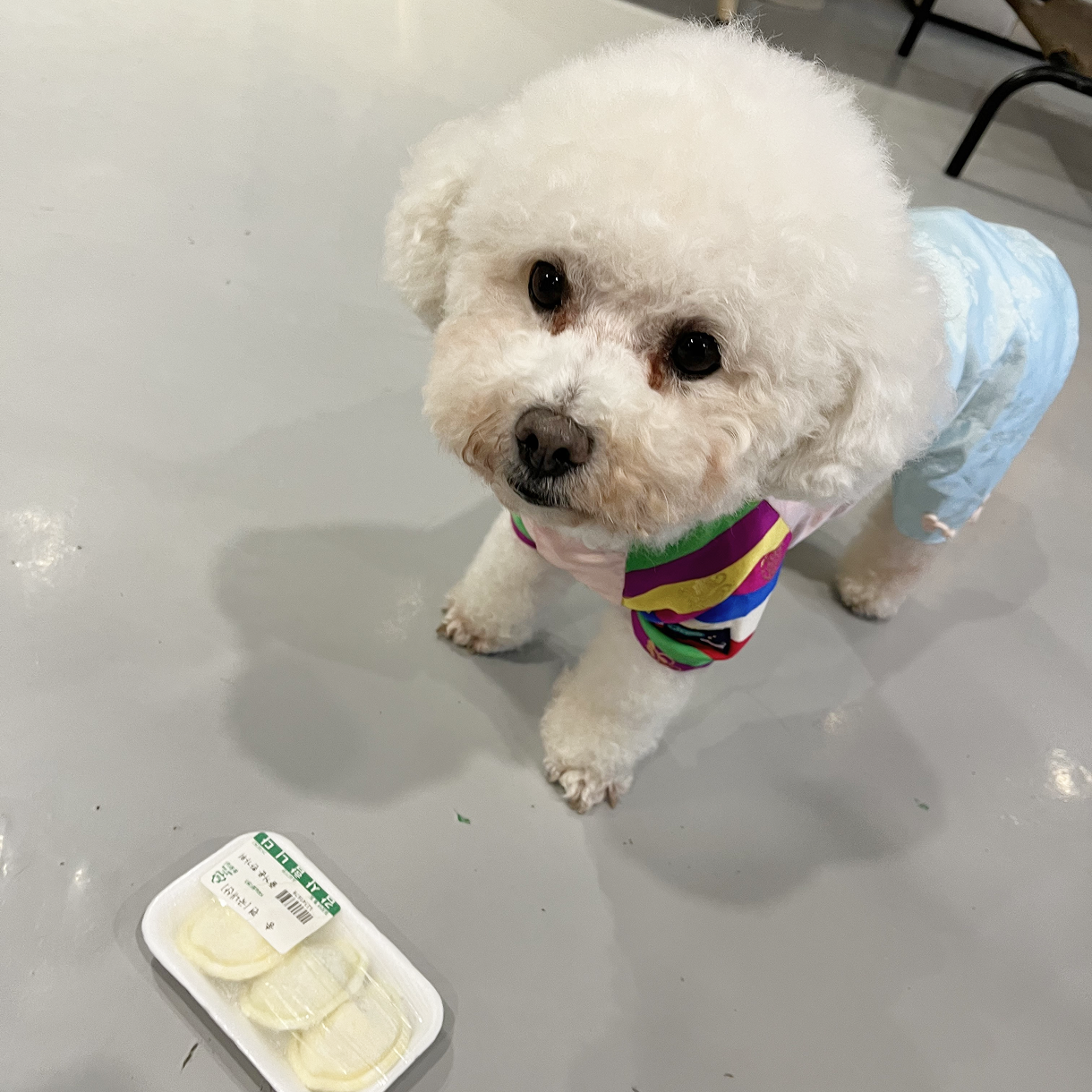 하르