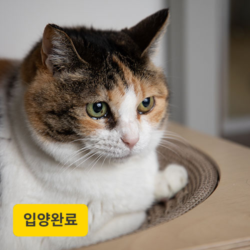 진숙