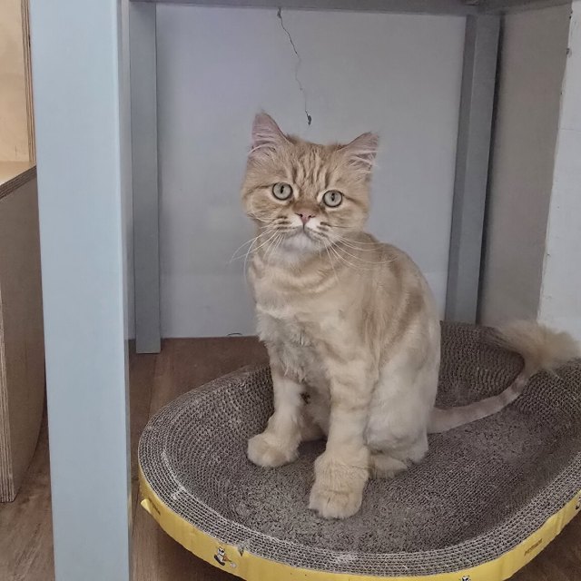듀오