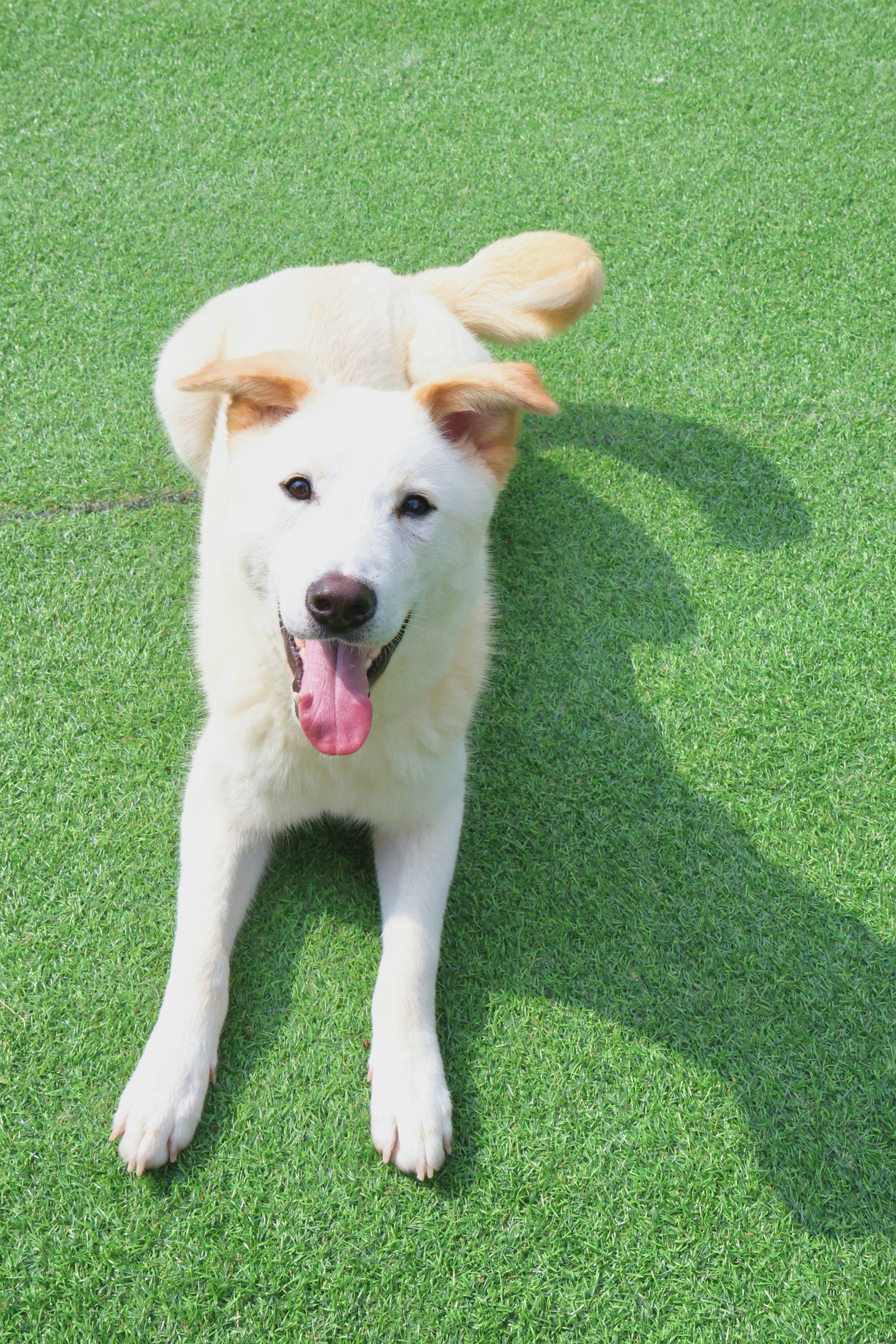 결이